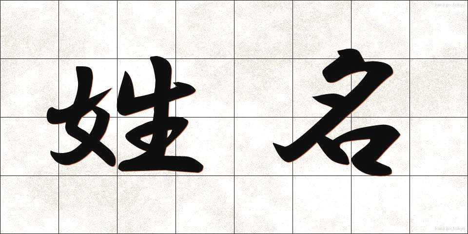 姓名 (せいめい)