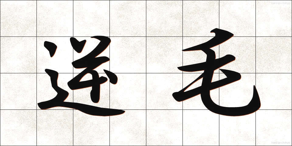 逆毛 (ぎゃくげ)