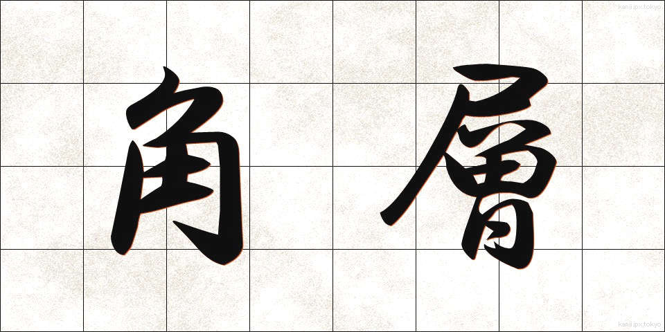 角層 (かくそう)