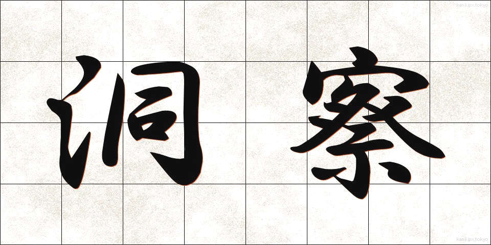 洞察 (どうさつ)