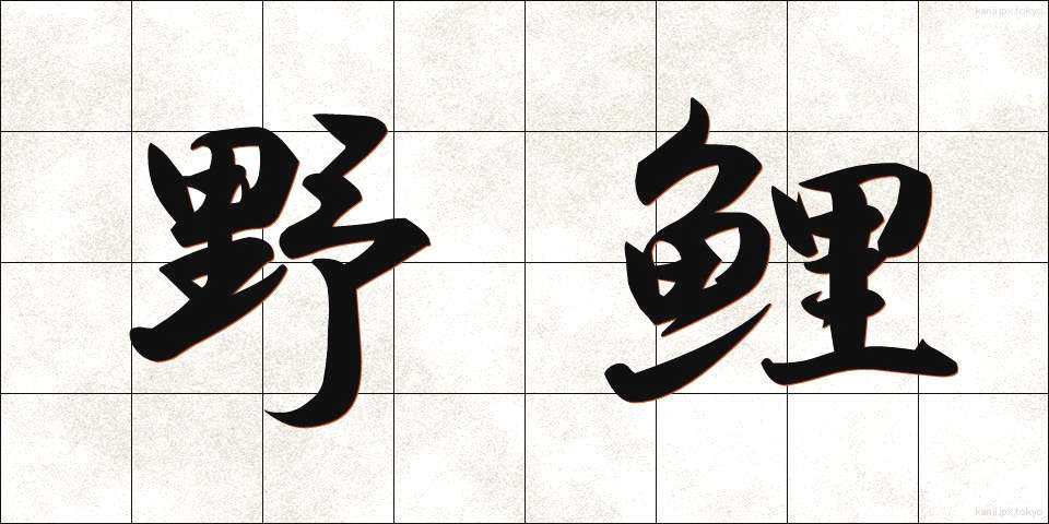 野鯉 (のごい)