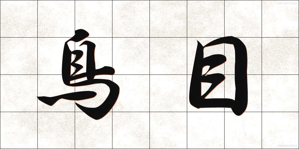 鳥目 (とりめ)