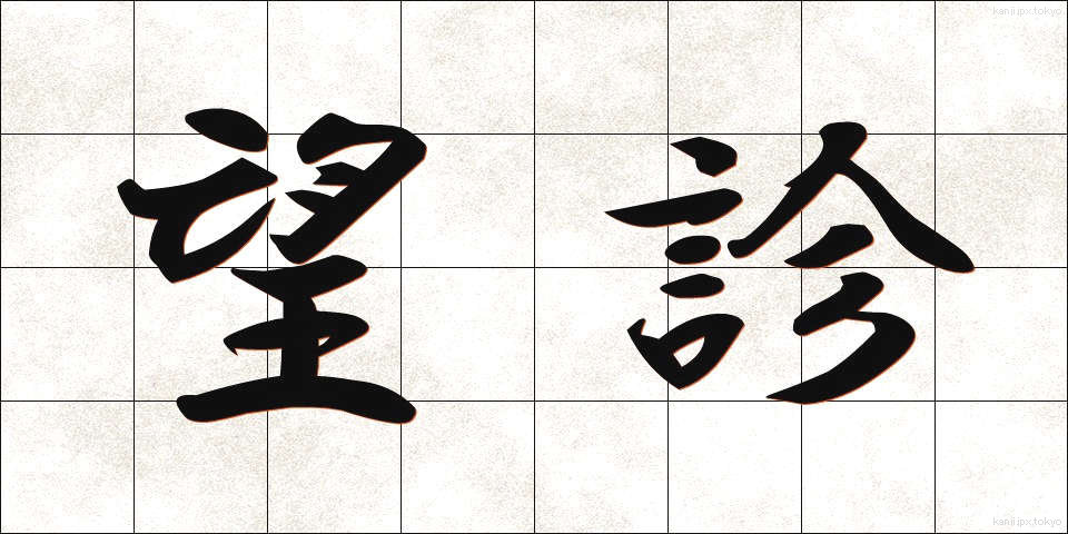 望診 (ぼうしん)