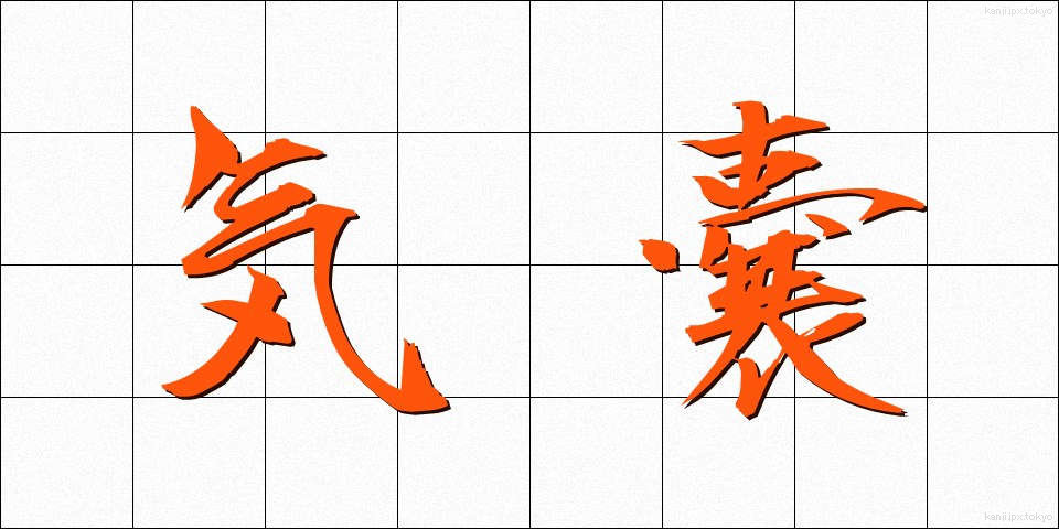 気嚢 (きのう)
