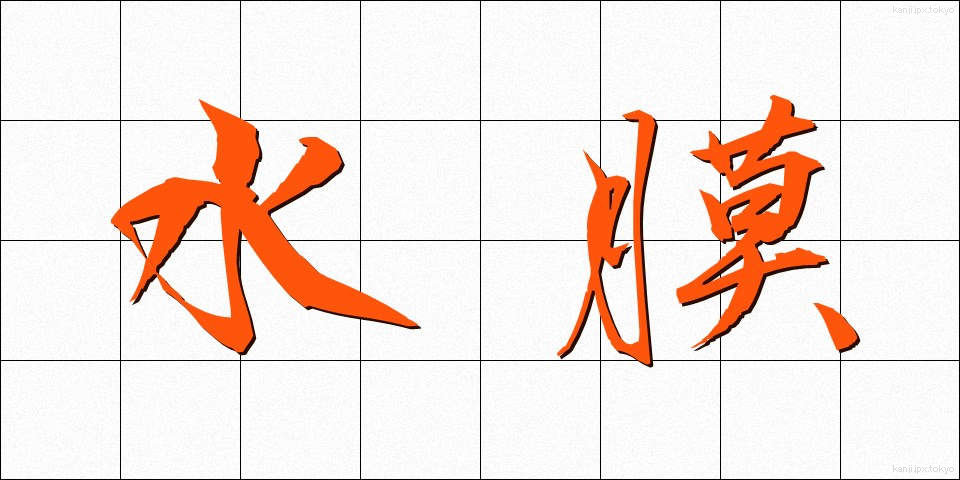 水膜 (すいまく)