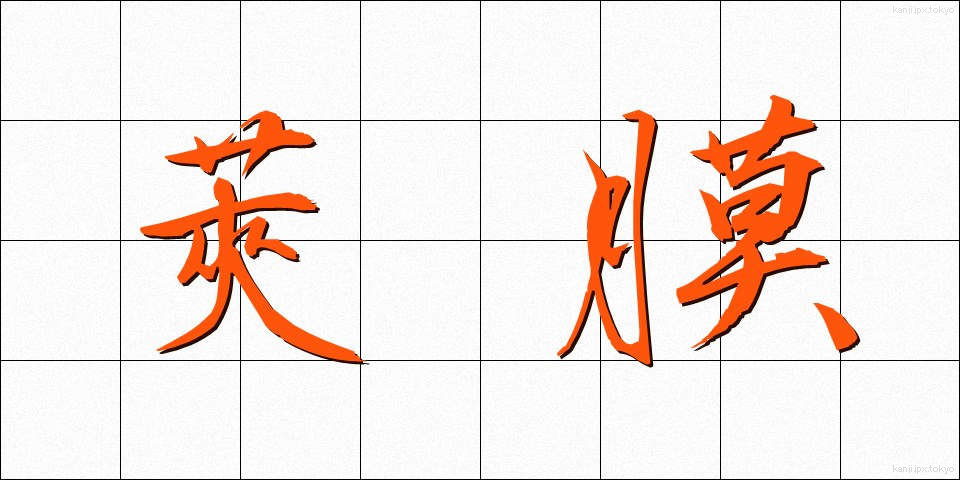 莢膜 (しょうまく)