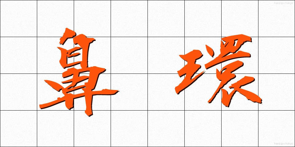 鼻環 (びかん)