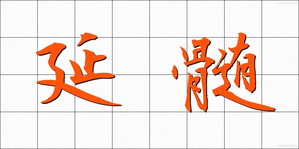 延髄 (えんずい)