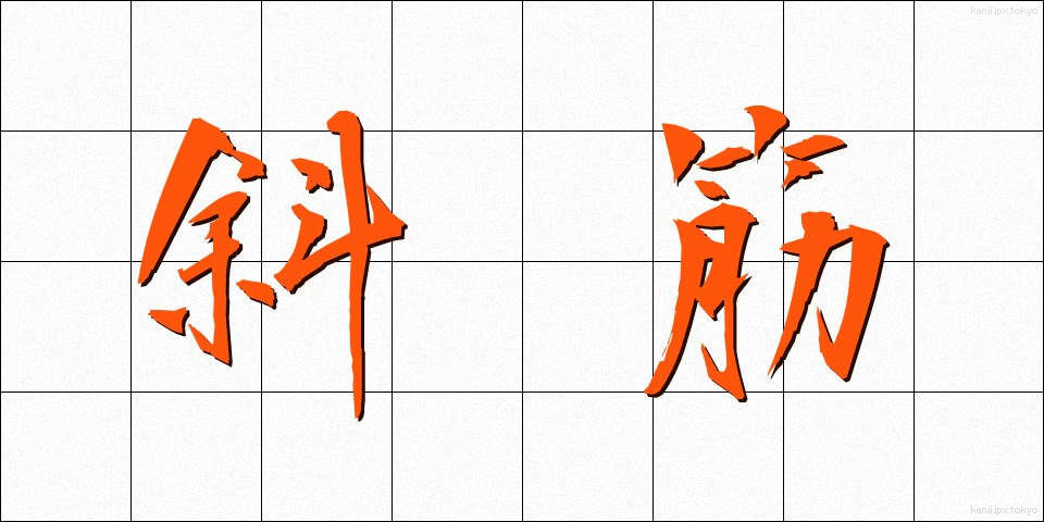 斜筋 (しゃきん)