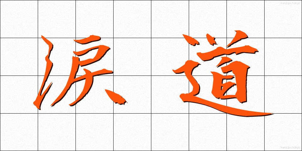 涙道 (るいどう)