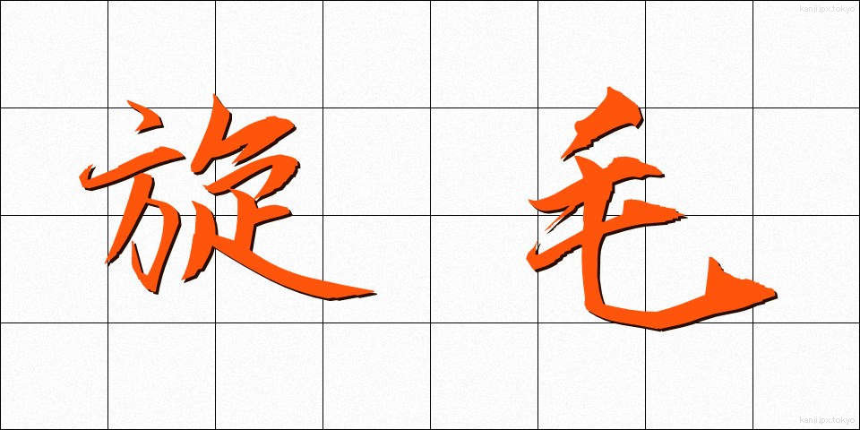 旋毛 (つむじ)
