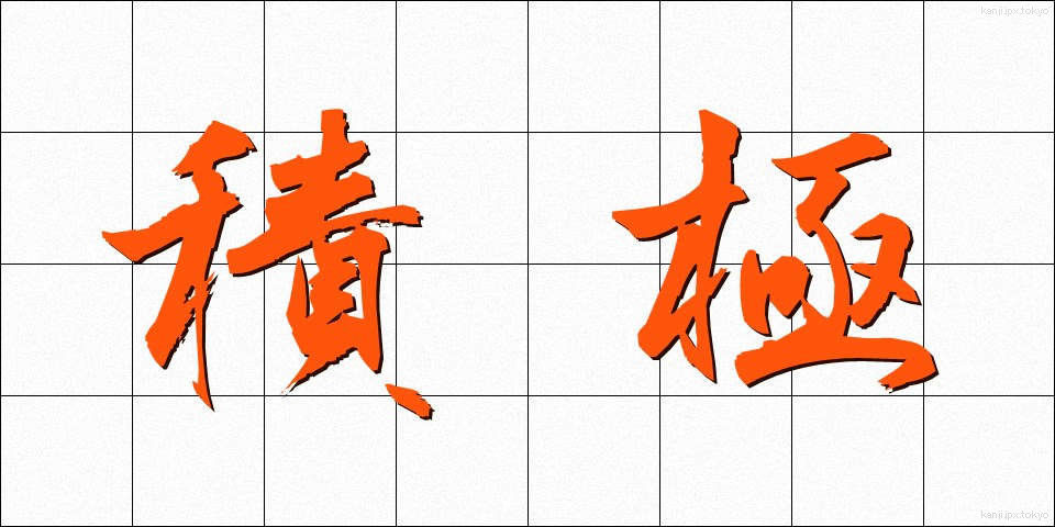 積極 (せっきょく)