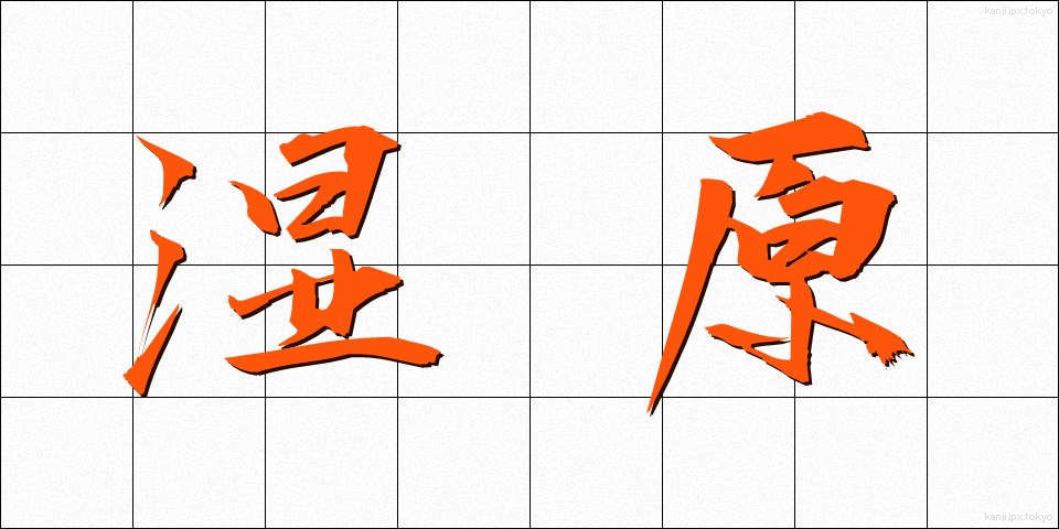 湿原 (しつげん)