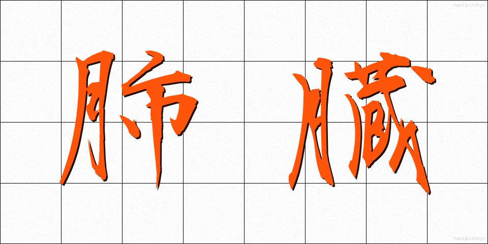 肺臓 (はいぞう)