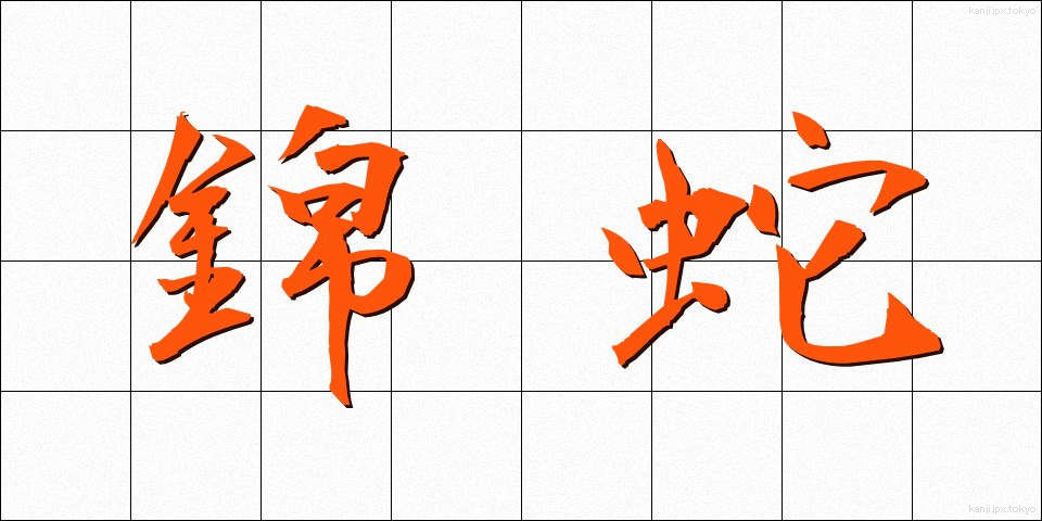 錦蛇 (きんじゃ)