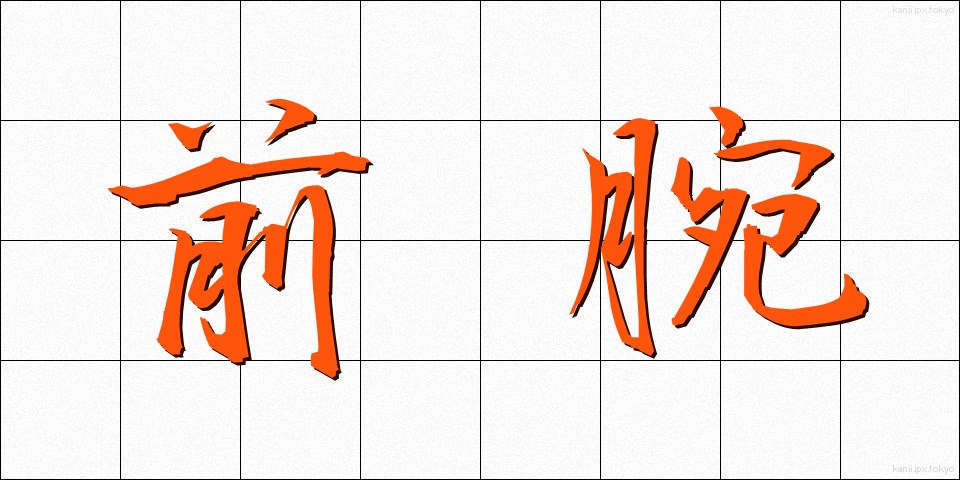 前腕 (ぜんわん)