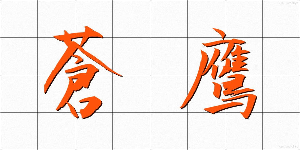 蒼鷹 (そうよう)