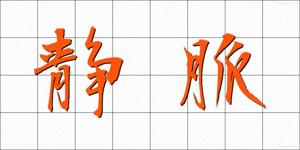 静脈 (じょうみゃく)
