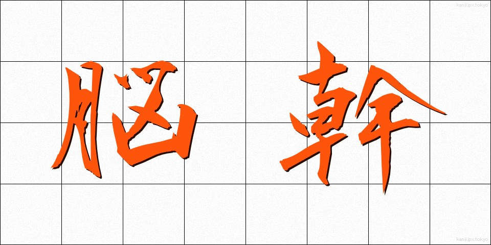 脳幹 (のうかん)