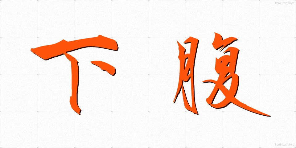 下腹 (かふく)