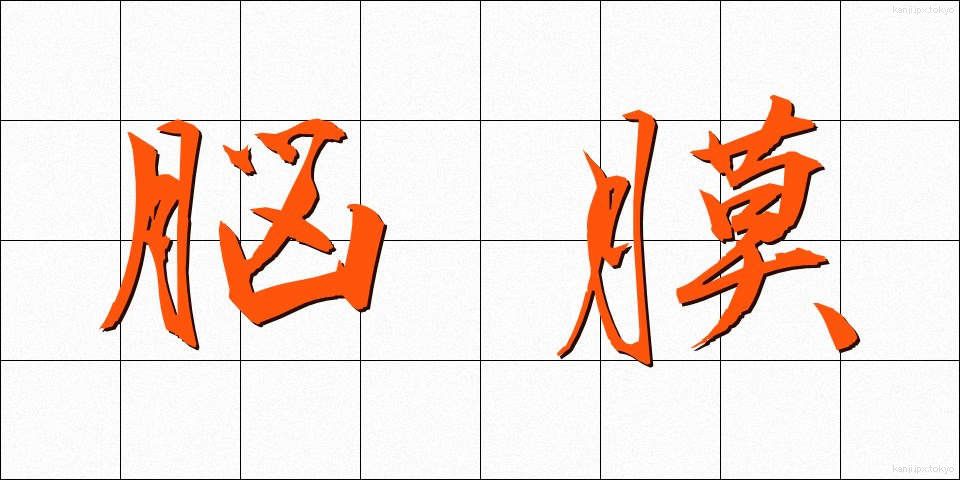 脳膜 (のうまく)