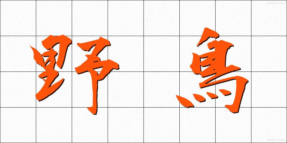 野鳥 (やちょう)