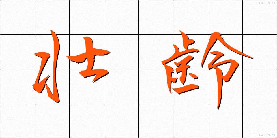 壮齢 (そうれい)