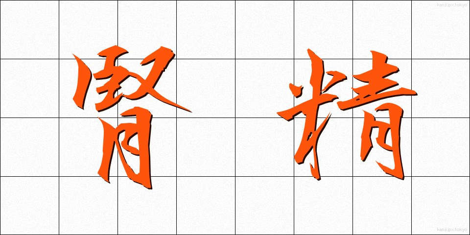 腎精 (じんせい)