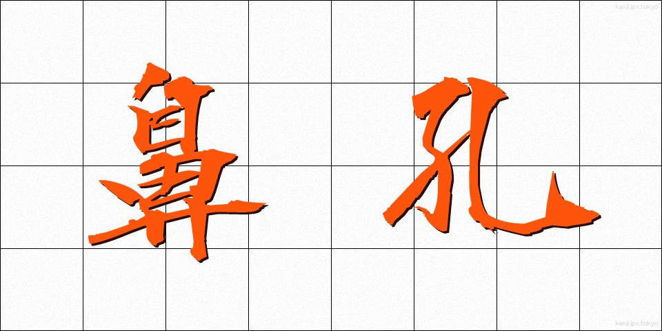 鼻孔 (びこう)