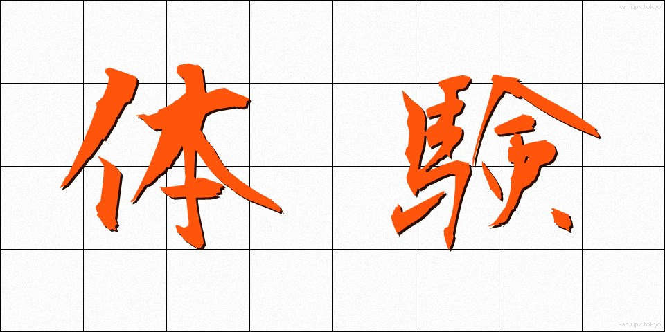 体験 (たいけん)