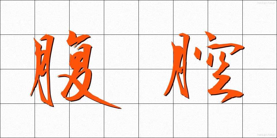 腹腔 (ふくくう)