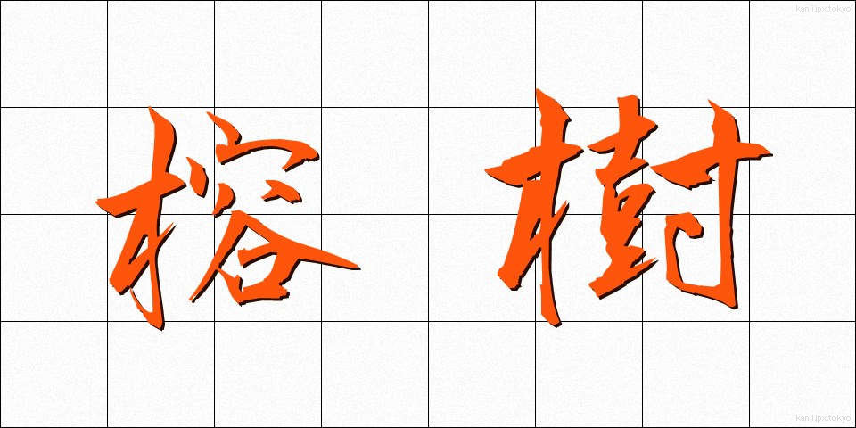 榕樹 (ようじゅ)