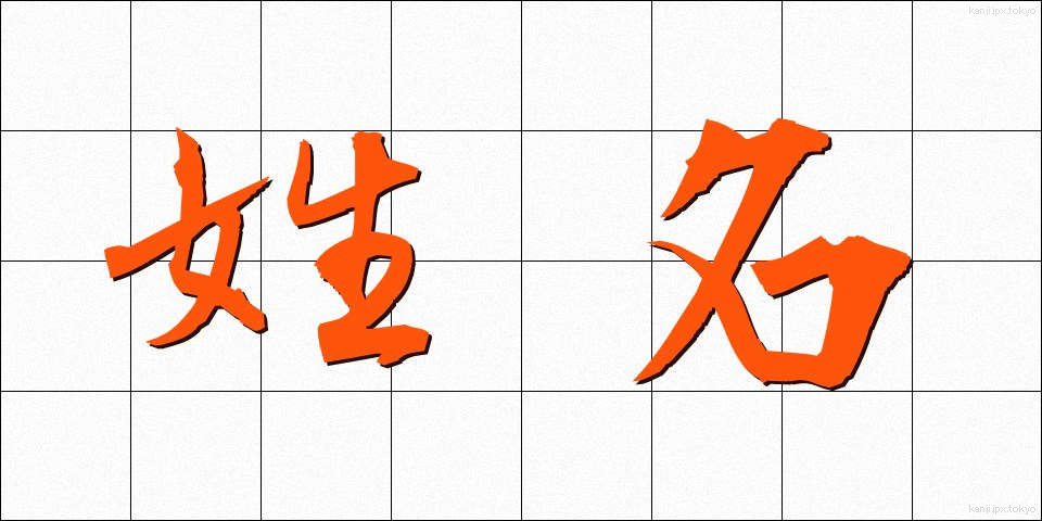姓名 (せいめい)