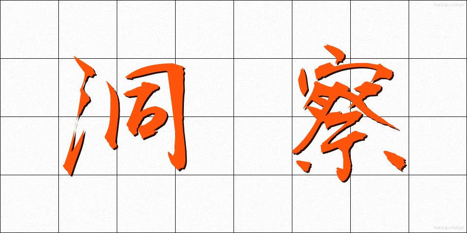 洞察 (どうさつ)