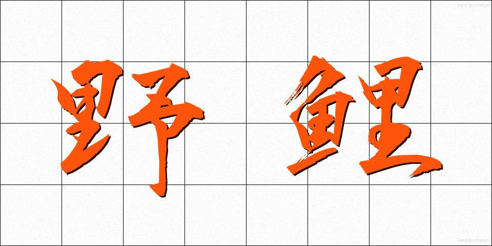 野鯉 (のごい)