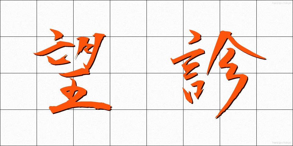 望診 (ぼうしん)