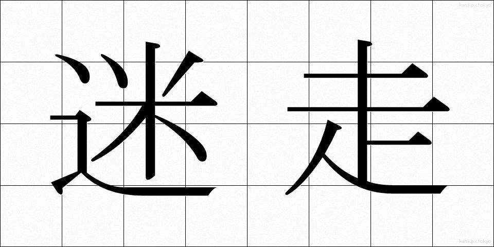 迷走 (めいそう)