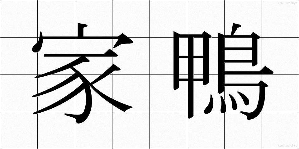 家鴨 (あひる)