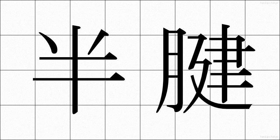 半腱 (はんけん)