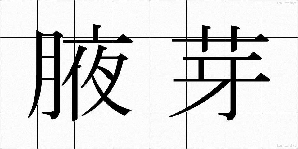 腋芽 (えきが)