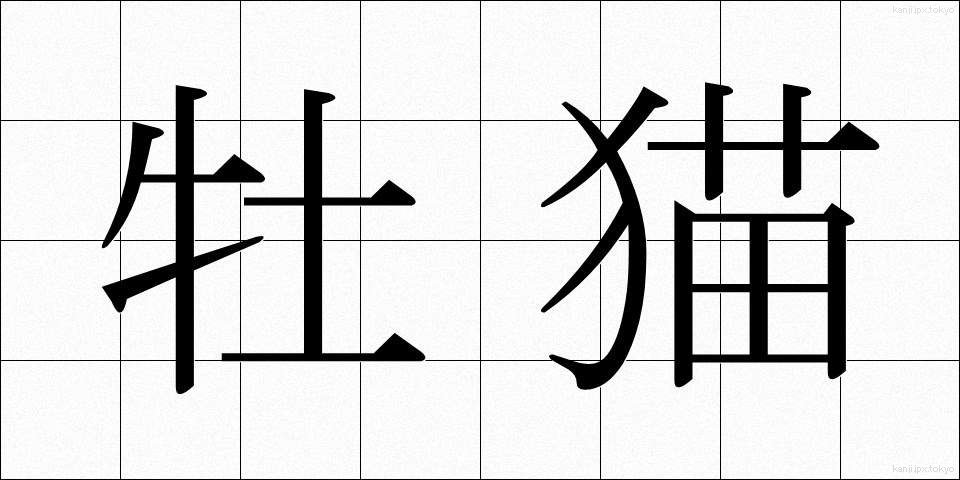 牡猫 (おすねこ)