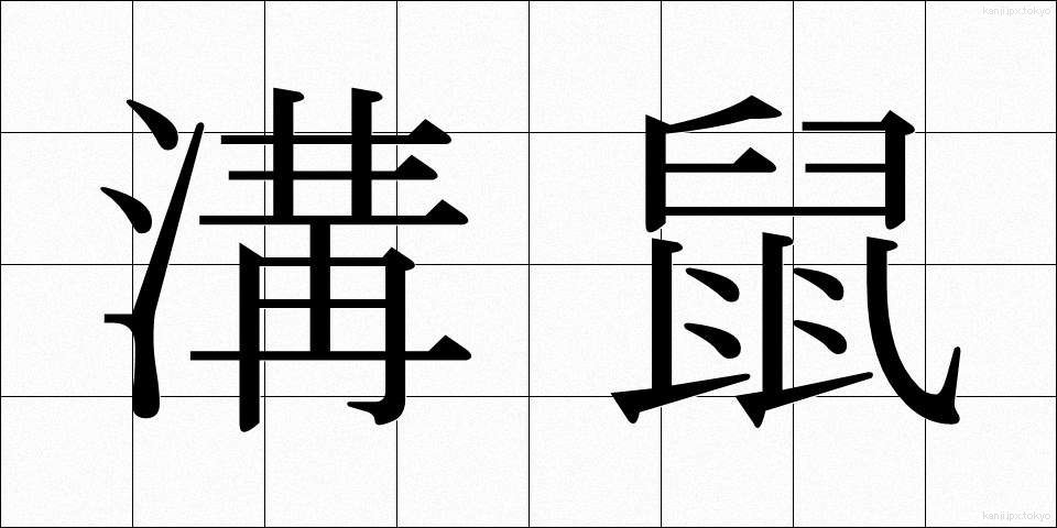 溝鼠 (どぶねずみ)