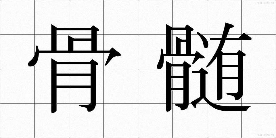 骨髄 (こつずい)