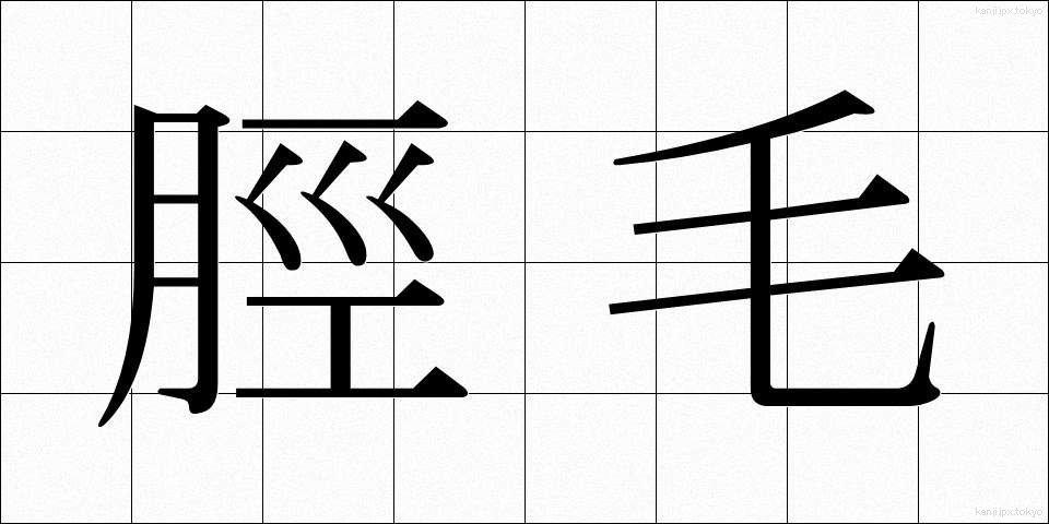 脛毛 (すねげ)