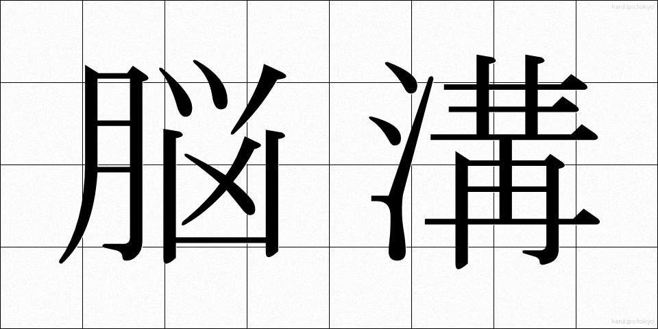 脳溝 (のうこう)