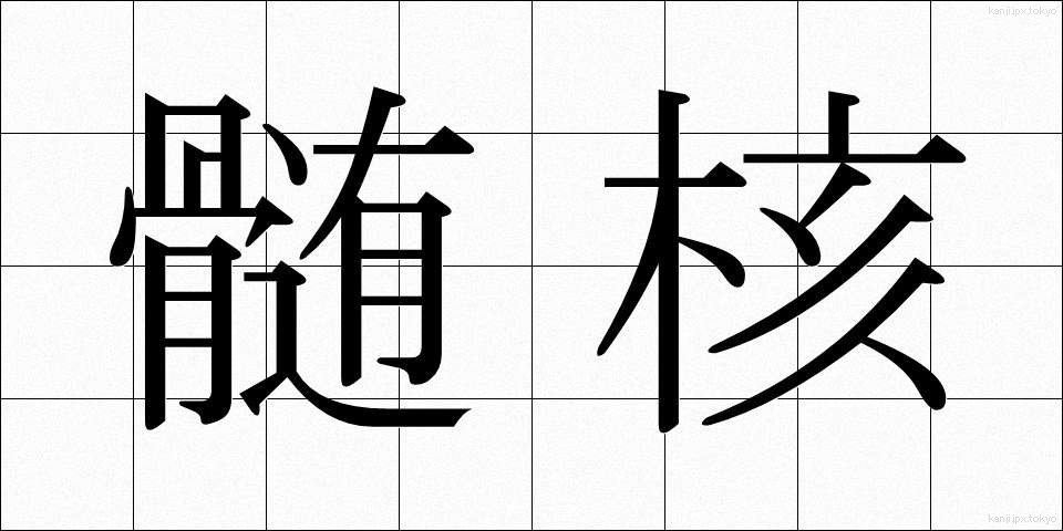 髄核 (ずいかく)