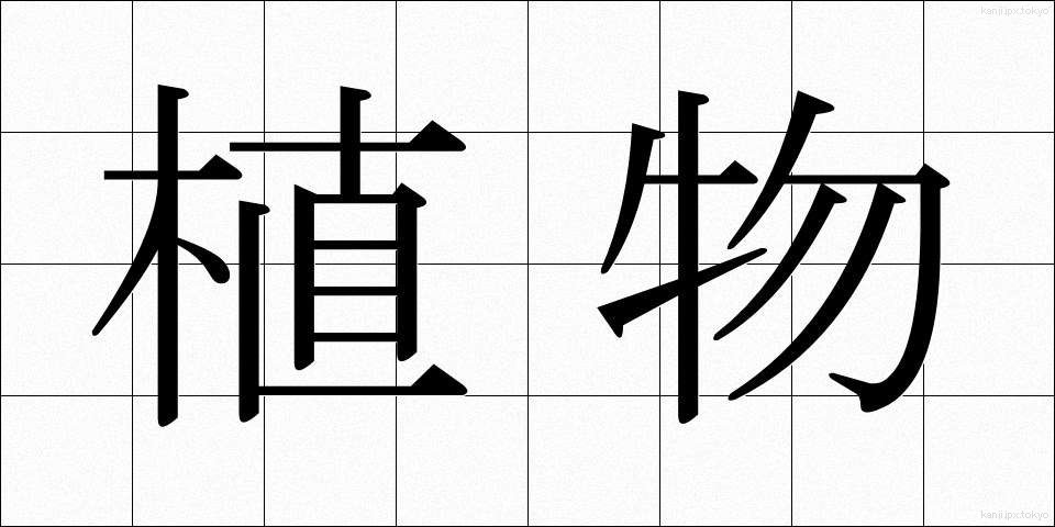 植物 (しょくぶつ)