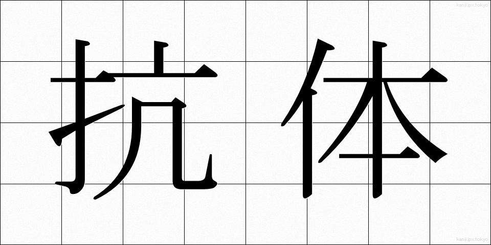 抗体 (こうたい)