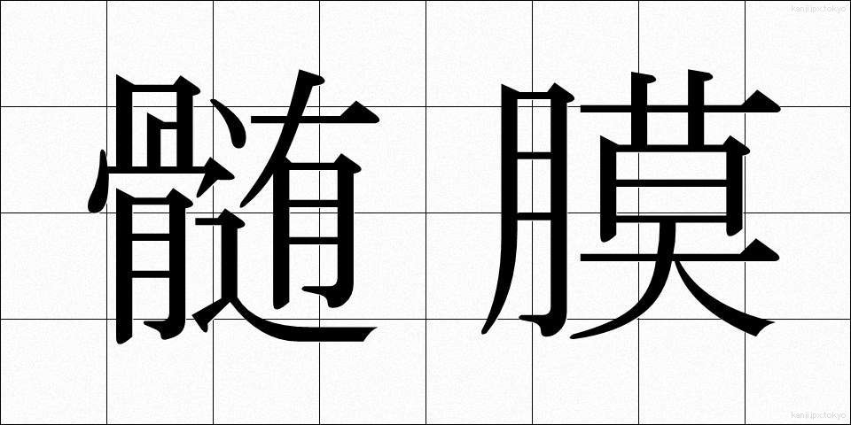 髄膜 (ずいまく)