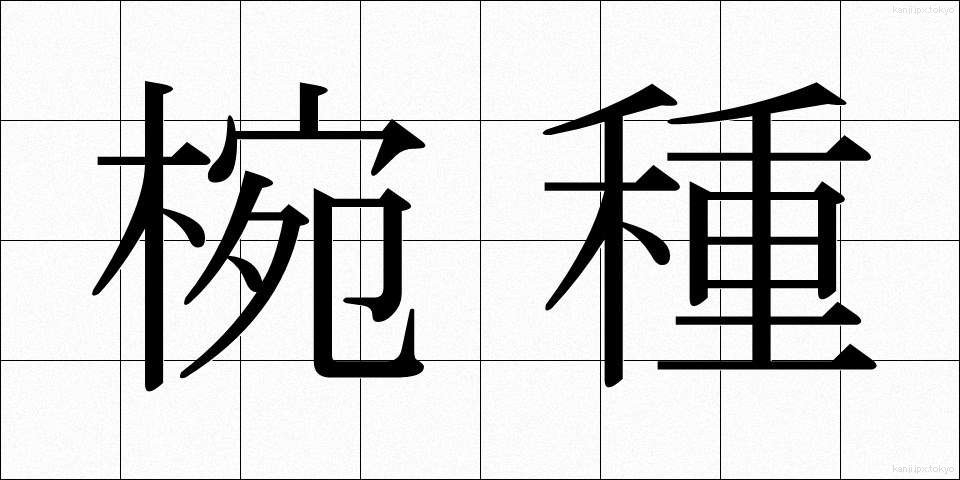 椀種 (わんしゅ)